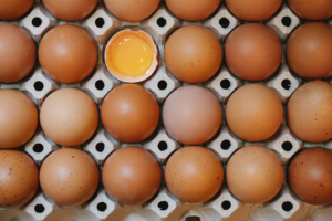 Read more about the article Value of Diversity:  The Importance of the Dissenting Voice