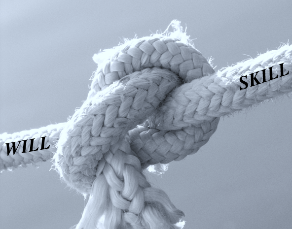 Read more about the article Performance Challenges:  Skill vs. Will